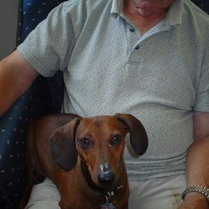 Meet your Posher, Debra